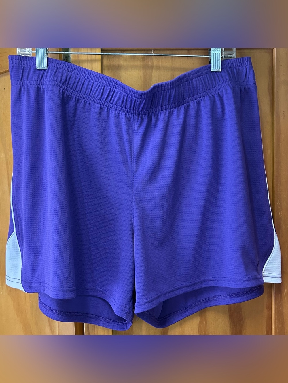 Champion Purple Athletic Shorts with White Side Panels Size XL